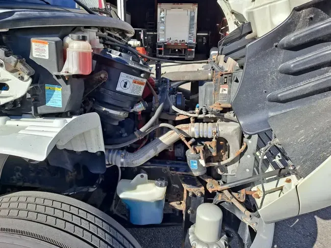 2019 FREIGHTLINER/MERCEDES M2 106