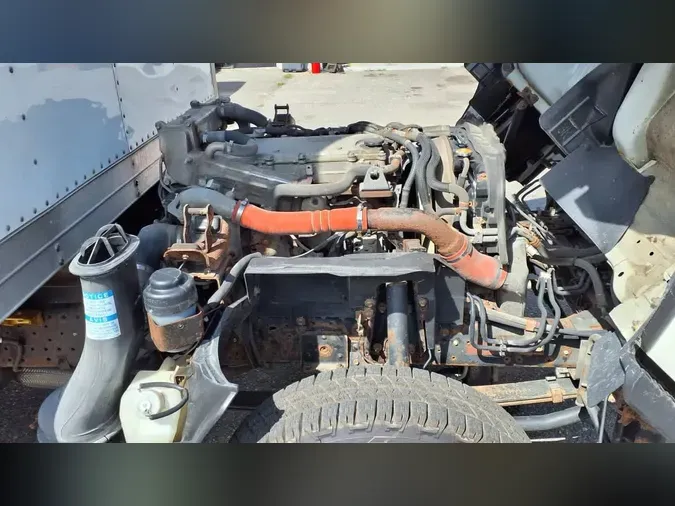 2019 ISUZU NPR HD494f7745488c70039a2bd688d652a435