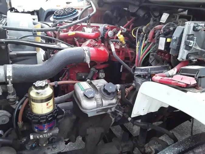 2019 FREIGHTLINER/MERCEDES M2 10649d42354534e24cbcd721aebe384bd1a