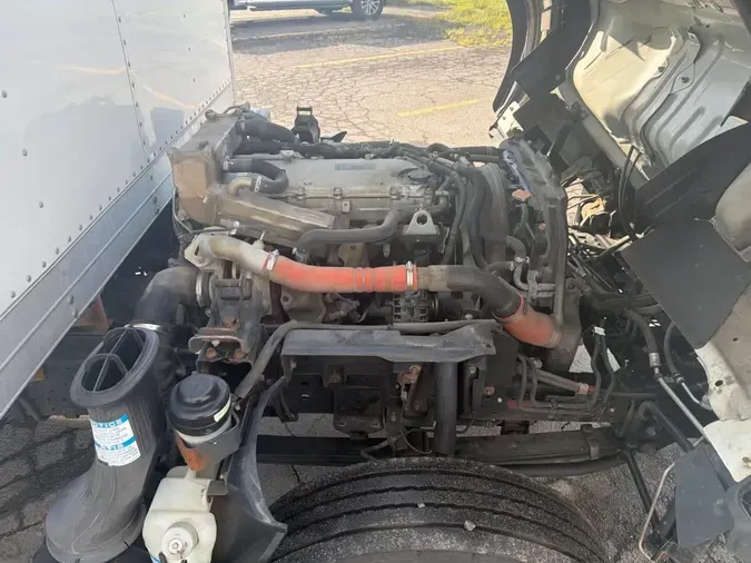 2019 ISUZU NQR4a82ebc5ad00938b64690ca864ee9346