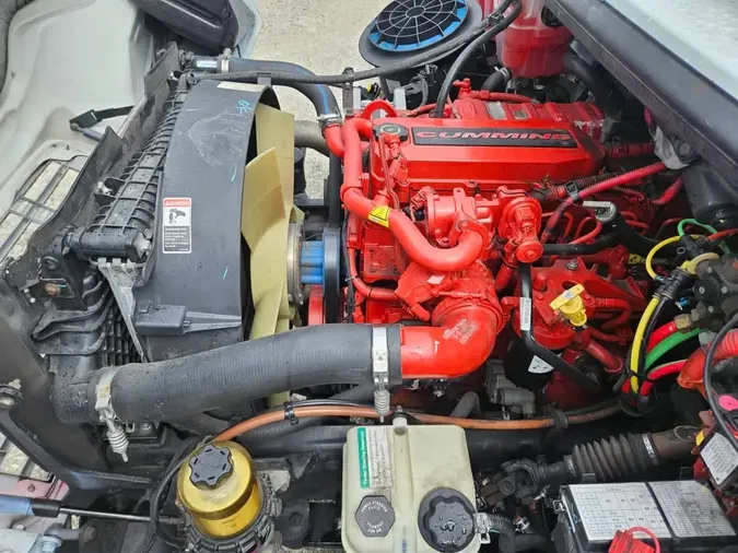 2019 FREIGHTLINER/MERCEDES M2 106