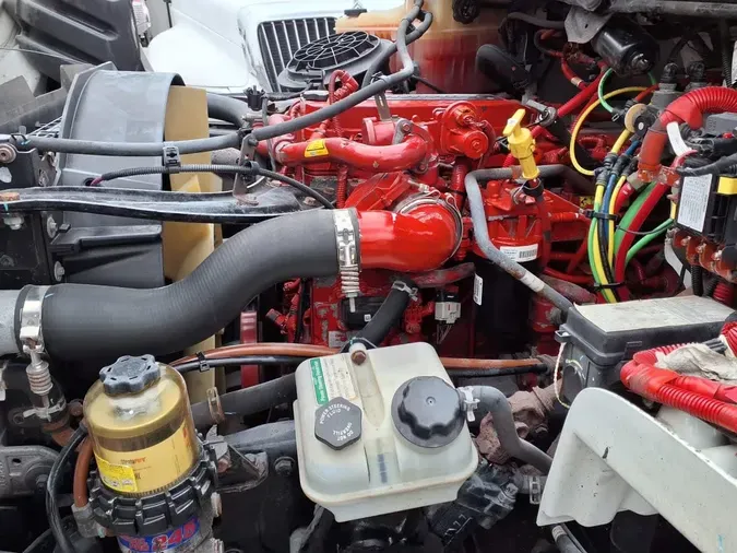 2019 FREIGHTLINER/MERCEDES M2 10651329bcabbc2afd55eda1e5f2cc177dc