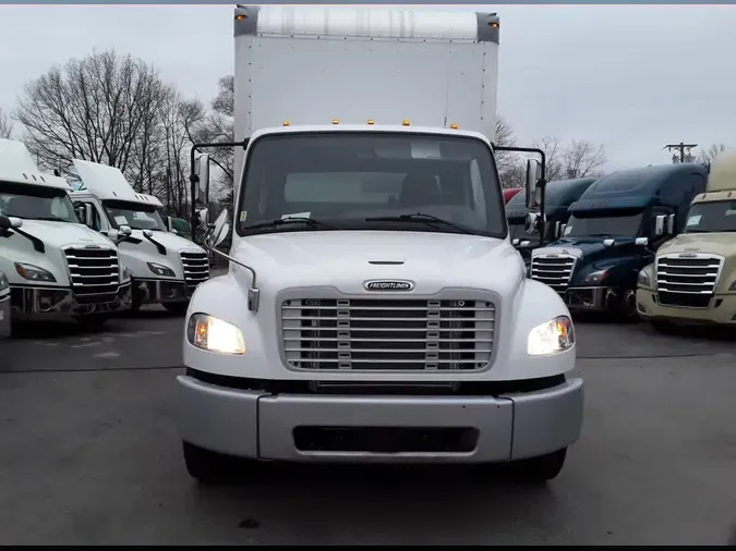 2019 FREIGHTLINER/MERCEDES M2 1065170d90c548102af6a671765e5784255