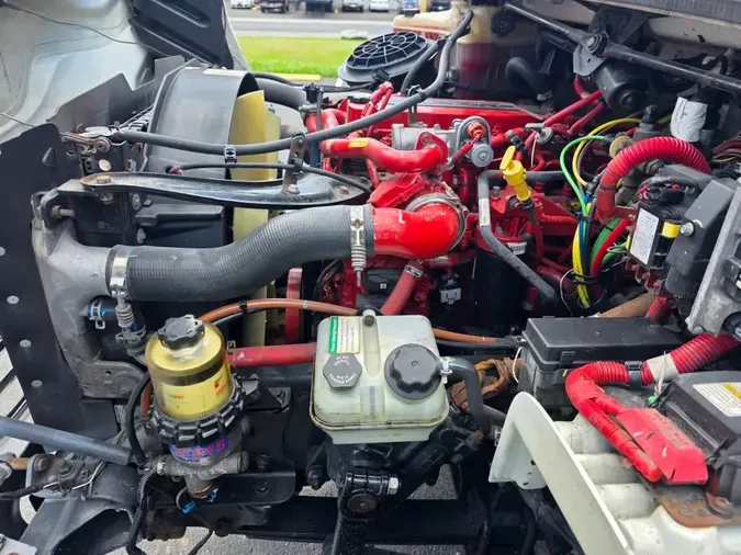 2019 FREIGHTLINER/MERCEDES M2 1065236bd59f6131e4f947d6837d1895552