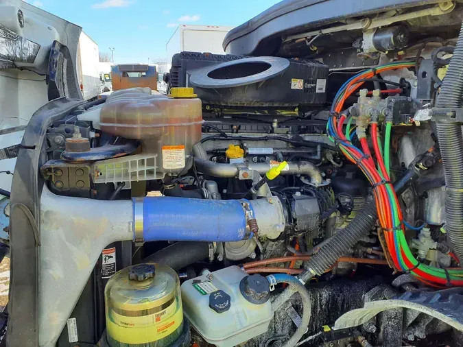 2019 FREIGHTLINER/MERCEDES NEW CASCADIA 116