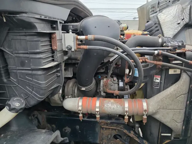 2019 FREIGHTLINER/MERCEDES CASCADIA 11354ebc3e9f03f31781c3c657e5fbfa226