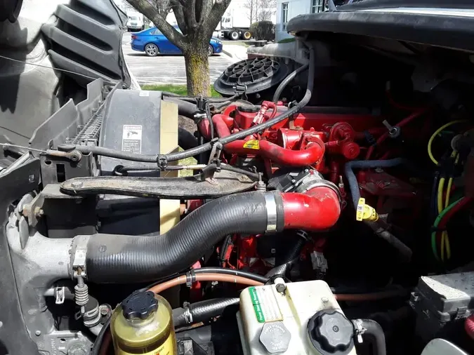 2019 FREIGHTLINER/MERCEDES M2 1065c6ebb043e0f34b1f217383b9f8ca4ba