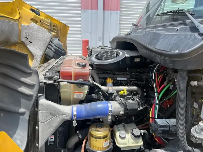 2019 FREIGHTLINER CASCADIA 113
