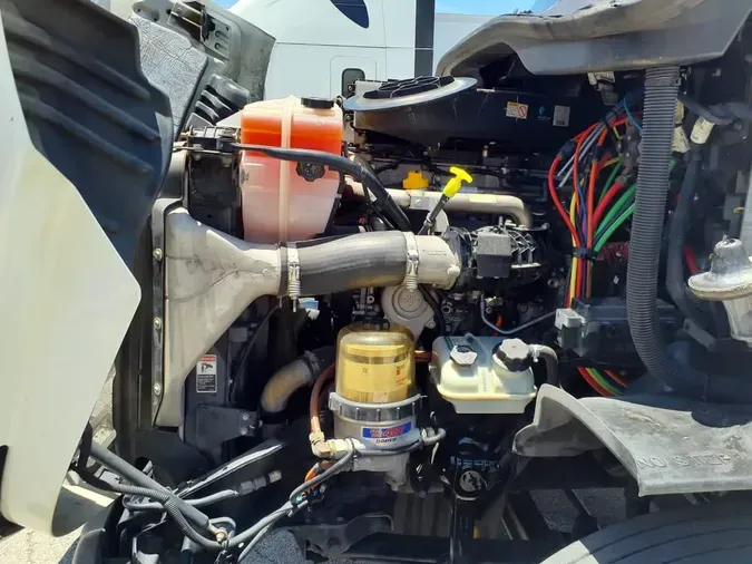 2019 FREIGHTLINER CASCADIA 113