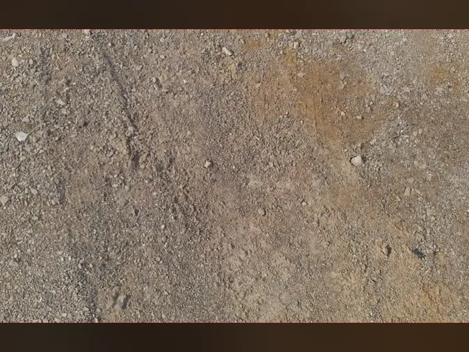 2019 FREIGHTLINER/MERCEDES CASCADIA 125