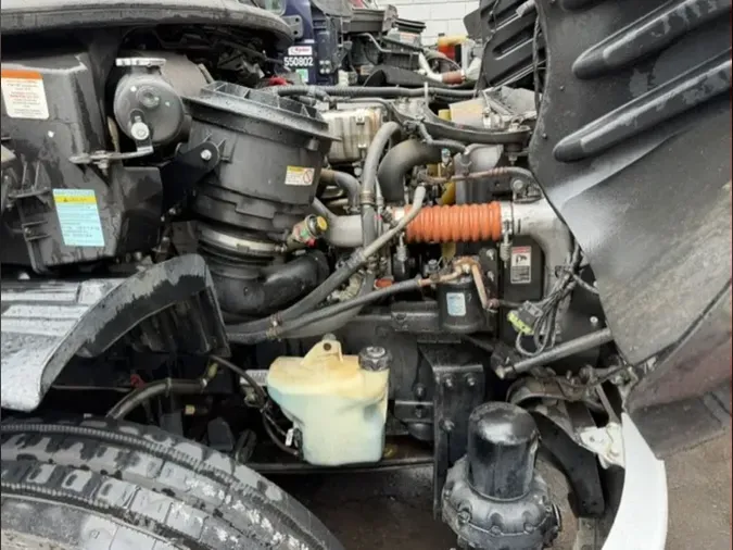 2019 FREIGHTLINER/MERCEDES M2 106
