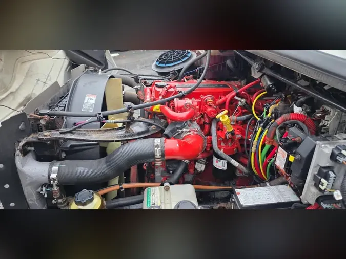 2019 FREIGHTLINER/MERCEDES M2 1065f963fb6b00762bccb3f26bc3d638619