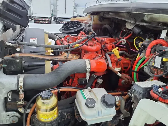 2019 FREIGHTLINER/MERCEDES M2 1065ff76391436e4b86a82f51d82f56908f