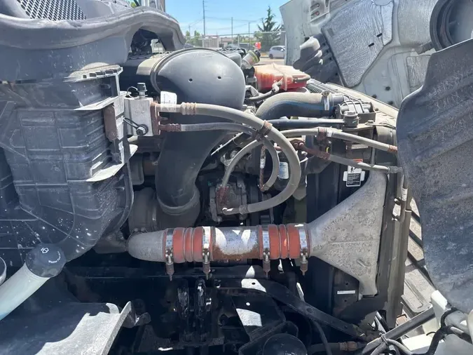 2020 FREIGHTLINER/MERCEDES CASCADIA 113
