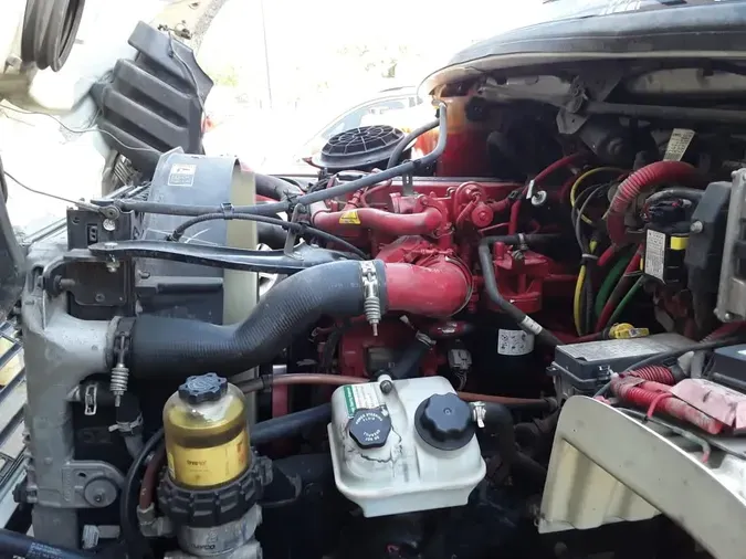 2019 FREIGHTLINER/MERCEDES M2 106