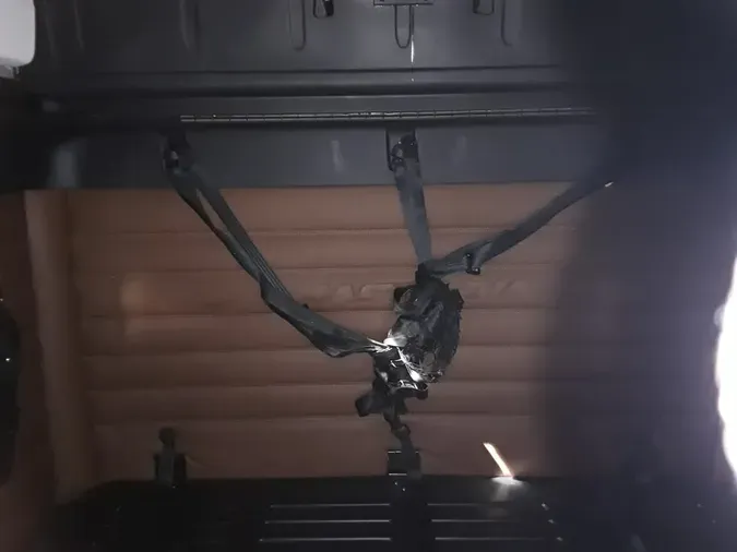 2020 FREIGHTLINER/MERCEDES NEW CASCADIA PX12664