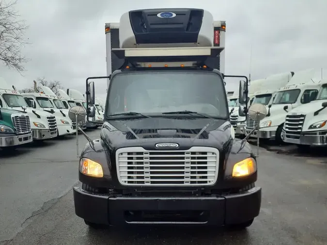 2019 FREIGHTLINER/MERCEDES M2 10666366f33b7a0a1cba94634c2650c6d99