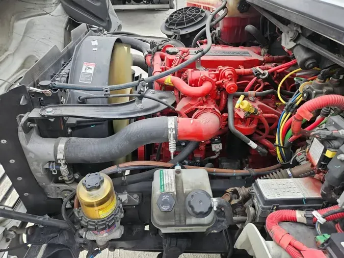 2019 FREIGHTLINER/MERCEDES M2 106