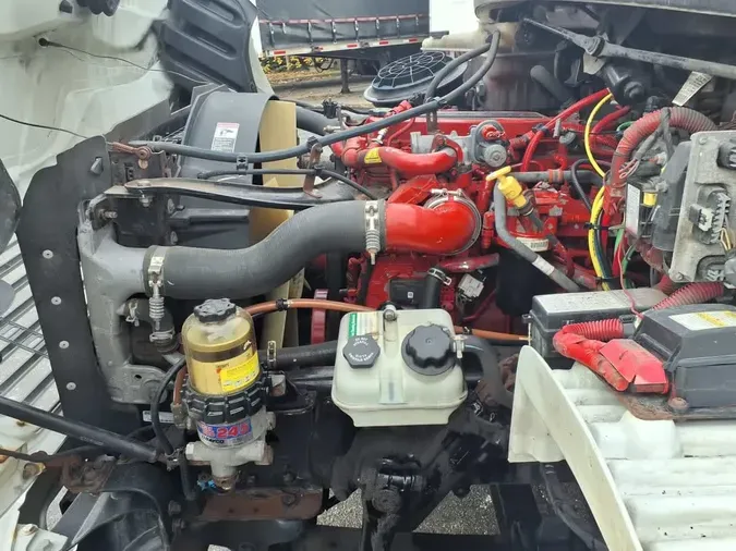 2019 FREIGHTLINER/MERCEDES M2 106671e738522bdc895c49adfeb026e5023