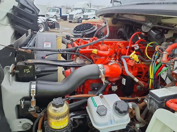 2019 FREIGHTLINER/MERCEDES M2 106683c86547e3928b9c48fa394ce5602e6