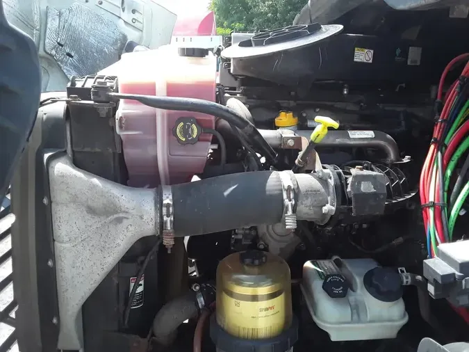 2019 FREIGHTLINER CASCADIA 113