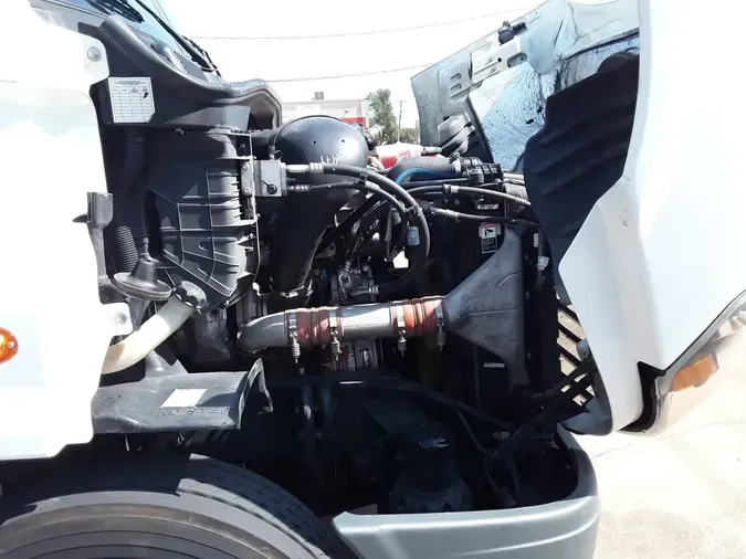 2019 FREIGHTLINER CASCADIA 113