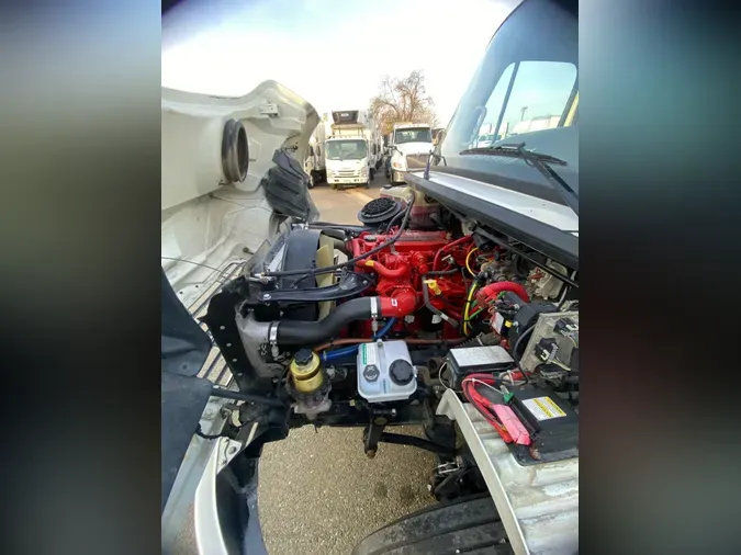 2019 FREIGHTLINER/MERCEDES M2 1066ad377a6f9f209e3a50d196fb07afa55