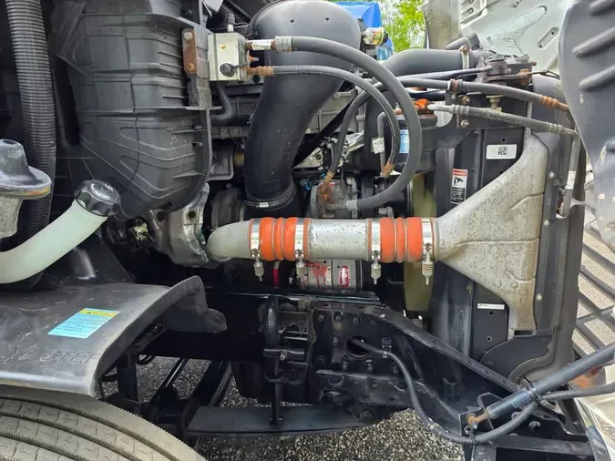 2019 FREIGHTLINER CASCADIA 113