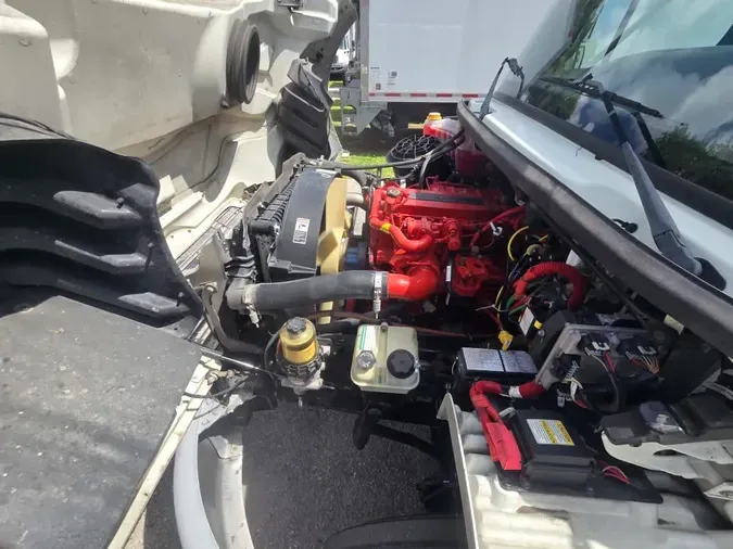 2019 FREIGHTLINER/MERCEDES M2 106
