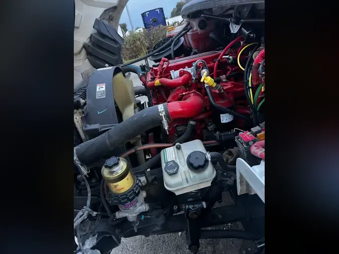 2019 FREIGHTLINER/MERCEDES M2 1066d3c410e7a6f8fd58216d98334fd02ff