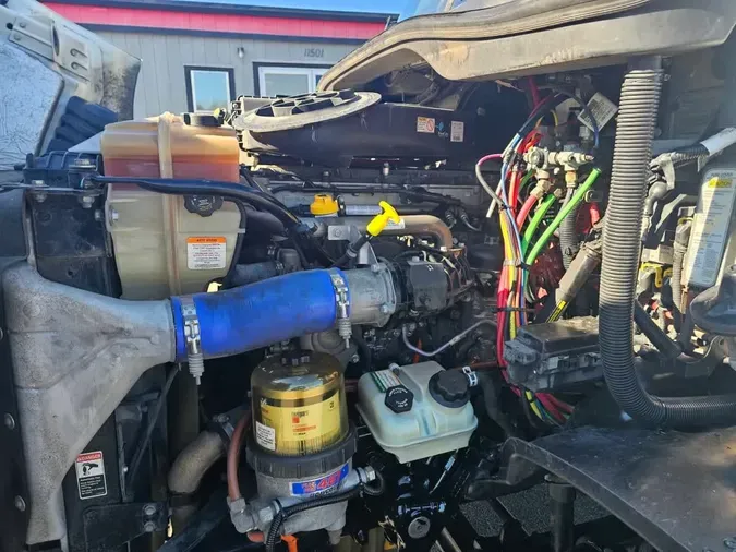 2019 FREIGHTLINER/MERCEDES CASCADIA 113