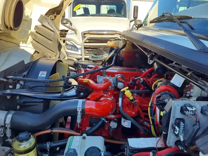 2019 FREIGHTLINER/MERCEDES M2 1066f907fcd5ab9c5111fea0a271e0b8fc0