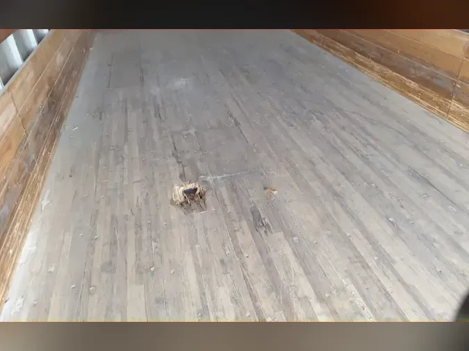 2020 FREIGHTLINER/MERCEDES M2 10671262c7a297cff853288ad126f34a2cc