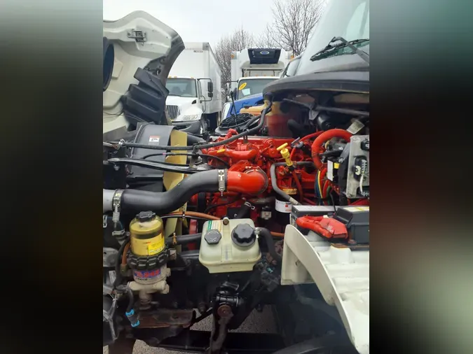 2019 FREIGHTLINER/MERCEDES M2 1067177b85ccc364386d4cd757c8e68303f