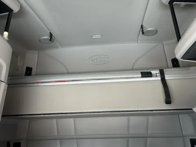 2020 Peterbilt 579