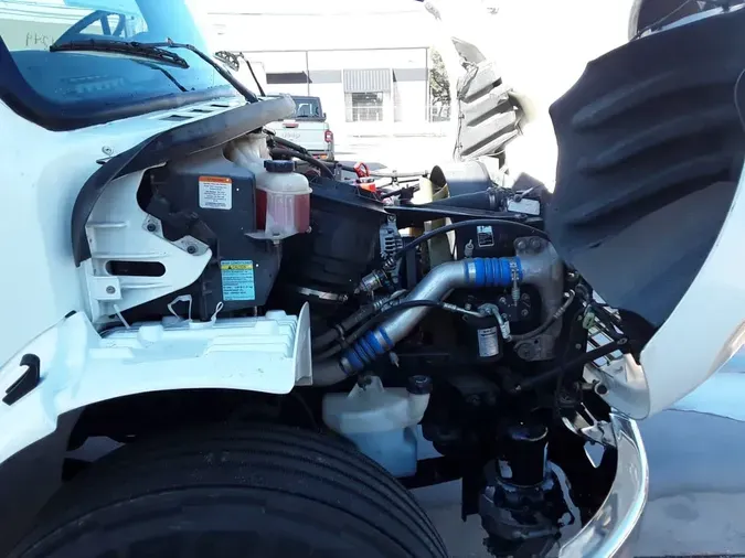 2019 FREIGHTLINER/MERCEDES M2 10674b7fc618d96f9d770112021118949e0