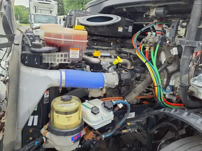 2019 FREIGHTLINER NEW CASCADIA 116