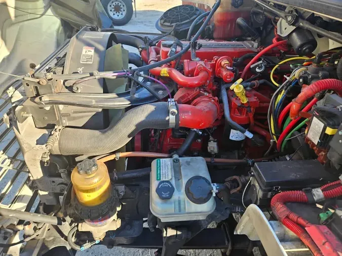 2019 FREIGHTLINER/MERCEDES M2 10678f46ce299b5e5659e599a349553ff7f