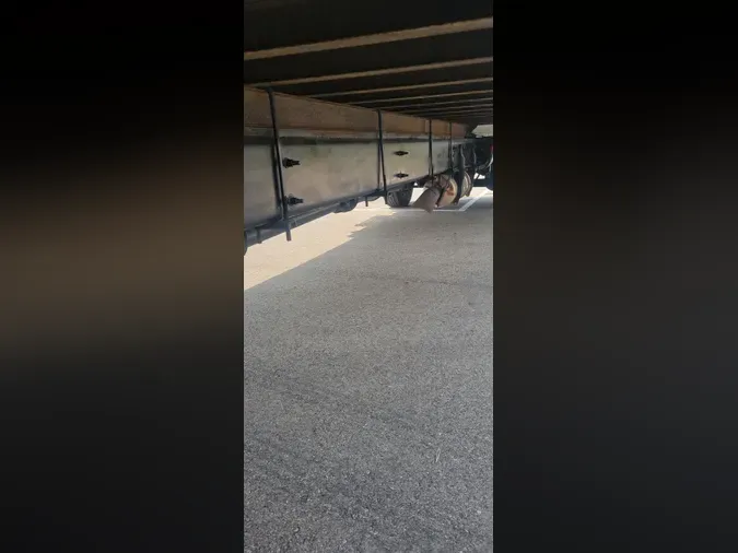 2020 International MV607