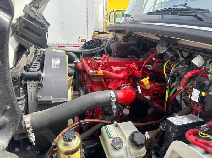 2019 FREIGHTLINER/MERCEDES M2 106