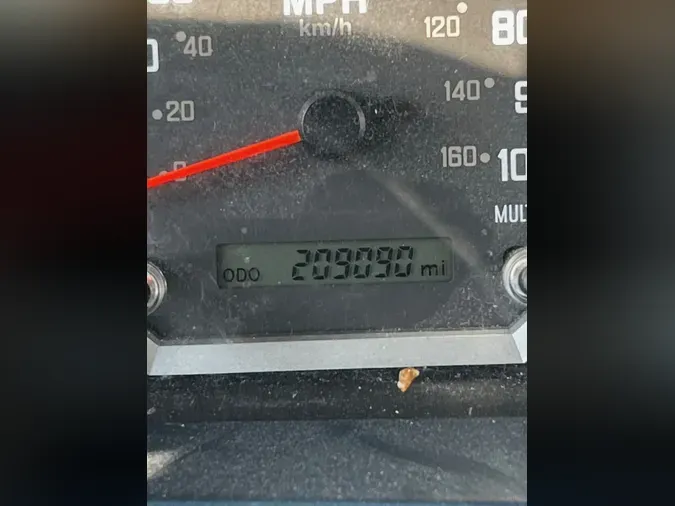 2019 ISUZU NPR