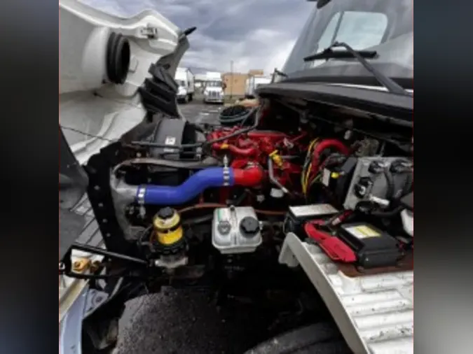 2019 FREIGHTLINER/MERCEDES M2 106
