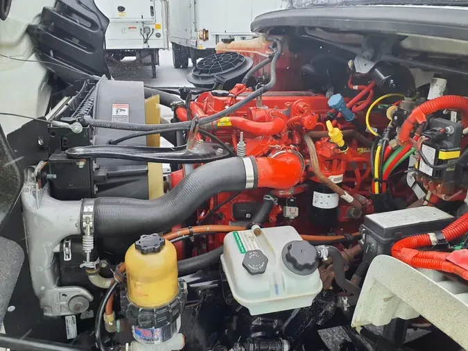 2019 FREIGHTLINER/MERCEDES M2 106815b6b94ed6771c304f4a0c4e0ea9c94