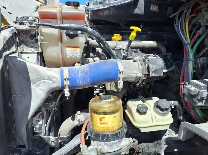 2019 FREIGHTLINER CASCADIA 113