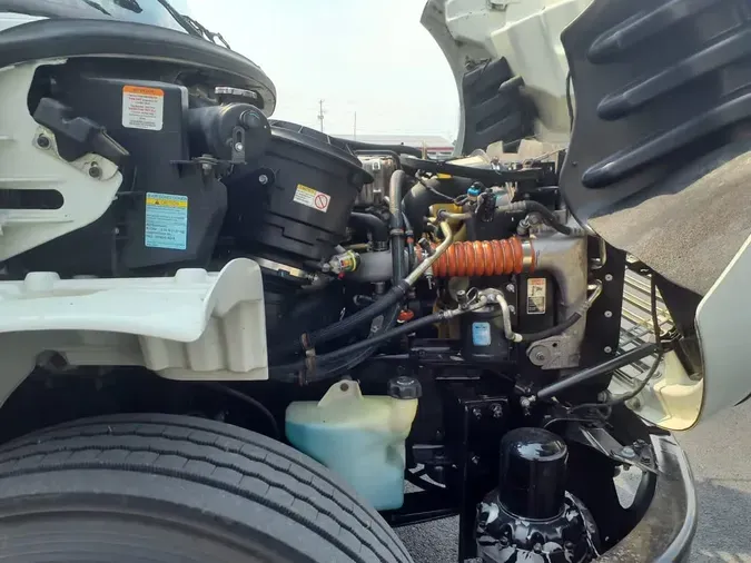 2019 FREIGHTLINER/MERCEDES M2 10683c8e782eb586dff90634712c219689a