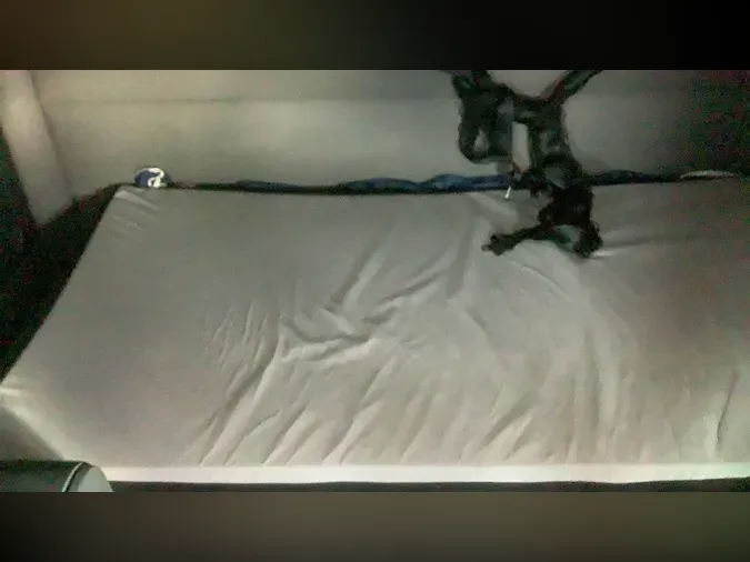 2020 Freightliner Cascadia 12685ff25d7556fe65dcd3293c251674bae