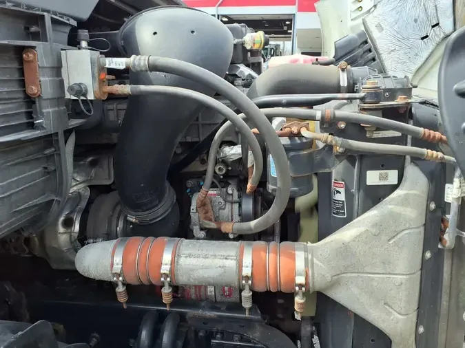 2020 FREIGHTLINER/MERCEDES CASCADIA 113