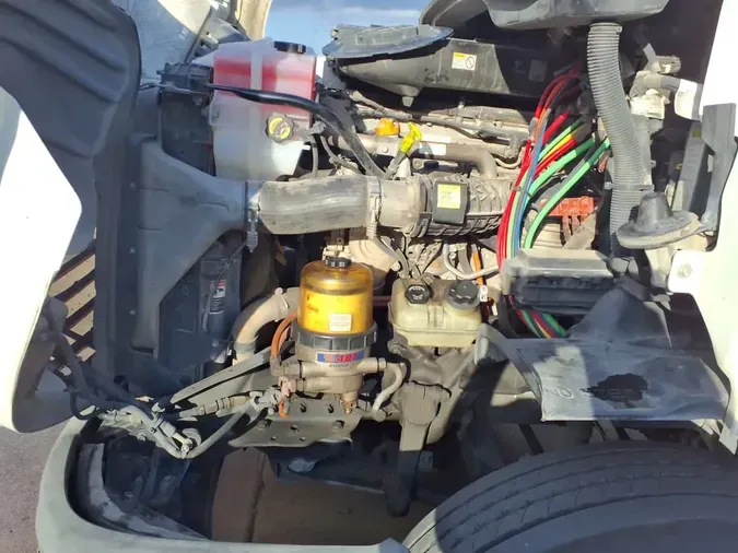 2019 FREIGHTLINER/MERCEDES CASCADIA 113