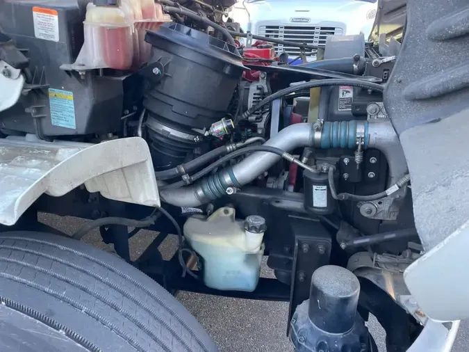 2019 FREIGHTLINER/MERCEDES M2 10688db01b952a66f6d5f580dca850b381d