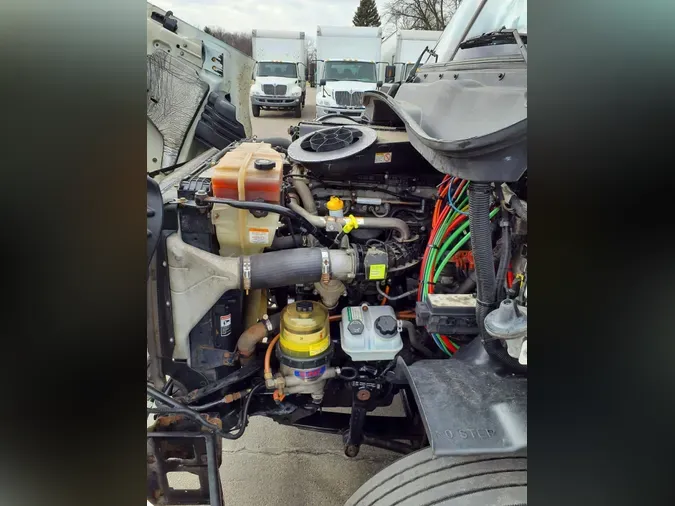 2019 FREIGHTLINER/MERCEDES CASCADIA 113